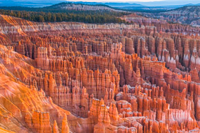 CanyonsImg