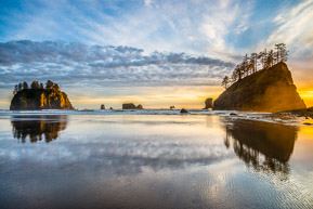 SeashoreImg